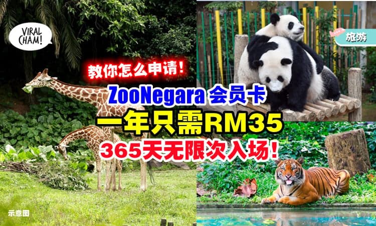 【内附申请方法😍】Zoo Negara会员卡「只需RM35」一整年无限次进入国家动物园🐾