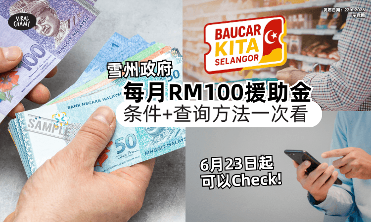 【6月23日起可以Check❗】雪州政府将「每月派RM100援助金✨」条件+查询方式一次看！
