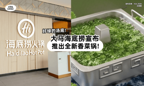 【爱吃火锅+香菜有福了❗】大马海底捞推出「Coriander锅底⚡」全马分行任你挑!