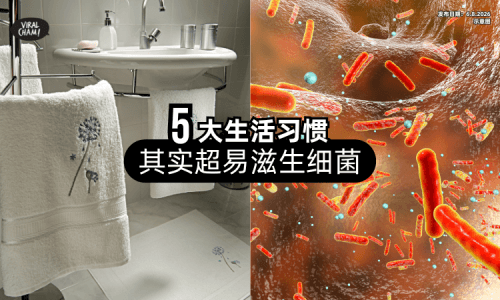 【毛巾别挂厕所❗】5大日常生活习惯「其实超养细菌⚡」超多人中招！