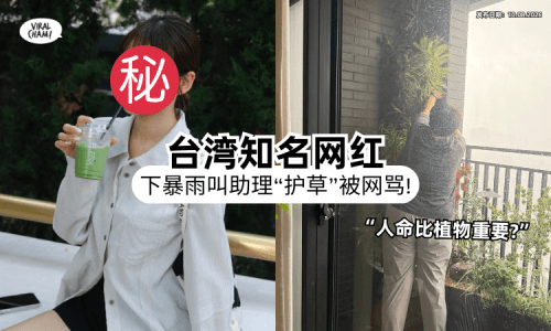 【外面狂风暴雨❗】台湾知名网红叫助理「肉身护盆栽」被炎上⚡ 网友气爆：命不如植物！