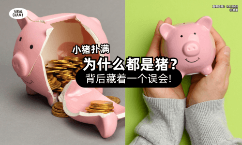 【不是因为猪会招财❗】猪仔钱罂「为何非其他动物❓」背后藏着一个误会