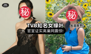 【入行23年❗】香港知名女星「宣布离巢」告别TVB⚡ 含泪PO文：人生有多少个十年