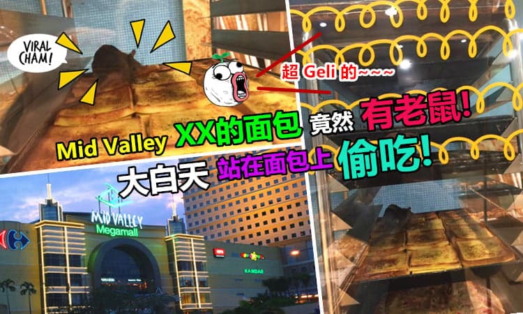 【Mid valley 某间有名面包店的面包竟然有老鼠?】而且老鼠还超大只的站在面包上! 太恶心了吧~